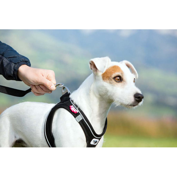 CURLI Vodítko pre psov Basic Black L 140x2 cm