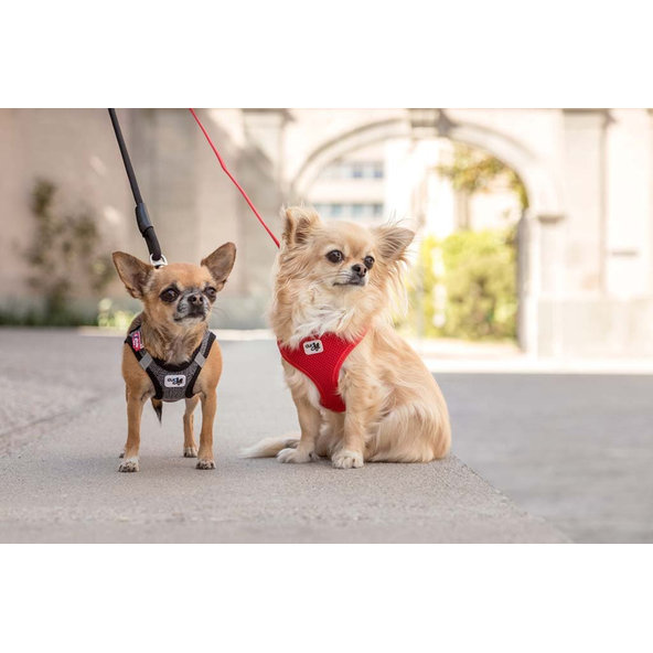 CURLI Vodítko pre psov Basic Black L 140x2 cm