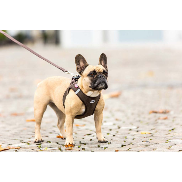 CURLI Vodítko pre psov Basic Brown L 140x2 cm