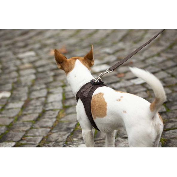 CURLI Vodítko pre psov Basic Brown M 140x1,5 cm