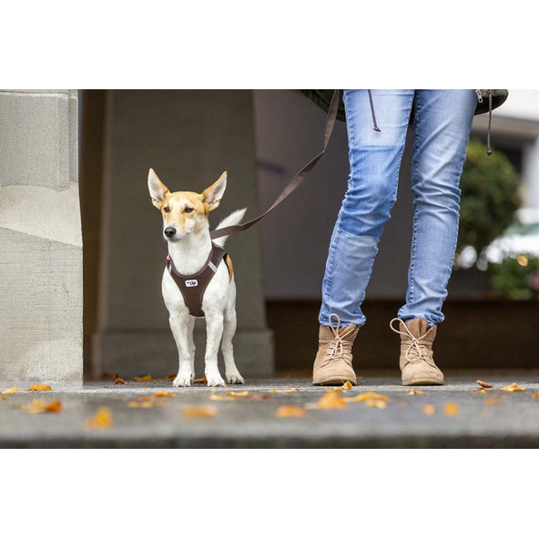 CURLI Vodítko pre psov Basic Brown M 140x1,5 cm