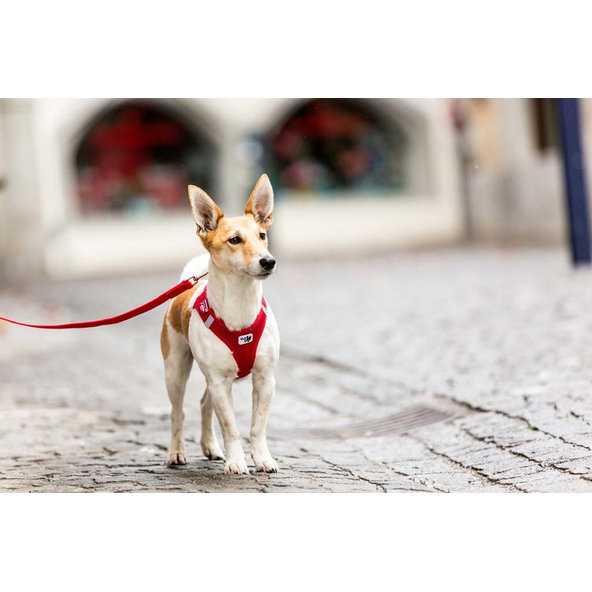 CURLI Vodítko pre psov Basic Red L 140x2 cm