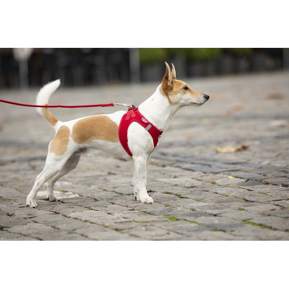 CURLI Vodítko pre psov Basic Red M 140x1,5 cm