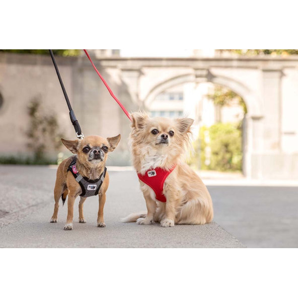 CURLI Vodítko pre psov Basic Red M 140x1,5 cm