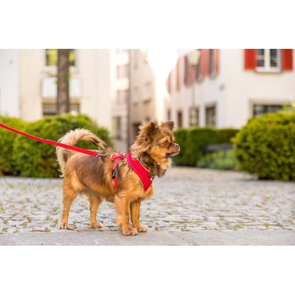 CURLI Vodítko pre psov Basic Red M 140x1,5 cm