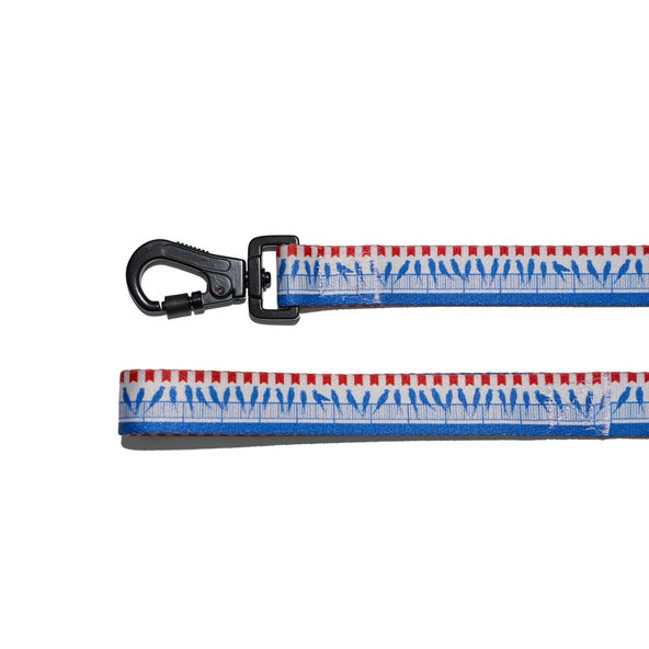 EXPLORER DOG Vodítko Vtáci L - 170x2, 5 cm