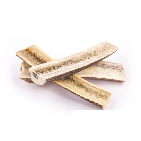 EXPLORER DOG Žuvací jelení paroh L mäkký