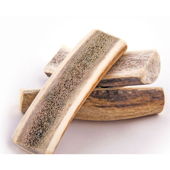 EXPLORER DOG Žuvací jelení paroh M mäkký