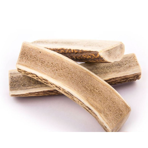 EXPLORER DOG Žuvací jelení paroh M mäkký