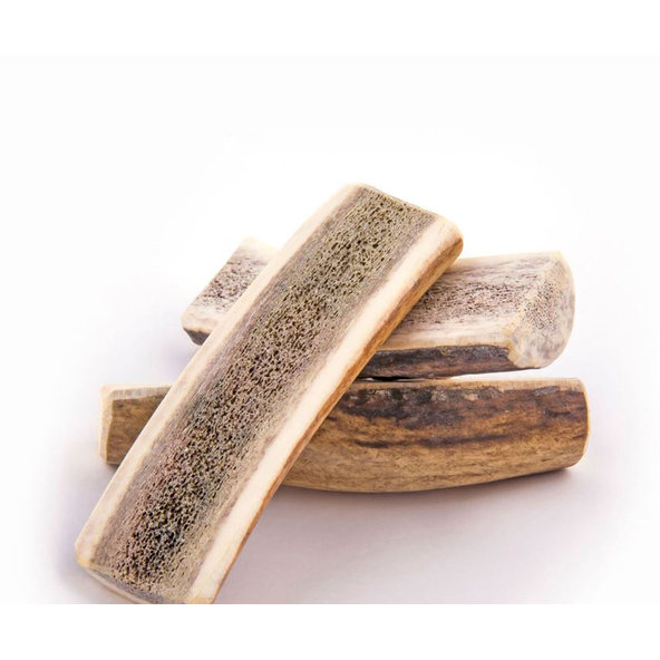 EXPLORER DOG Žuvací jelení paroh S mäkký