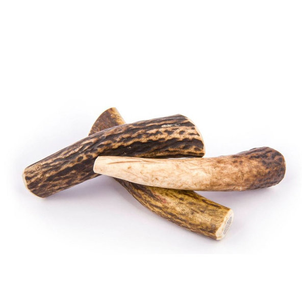 EXPLORER DOG Žuvací jelení paroh S tvrdý