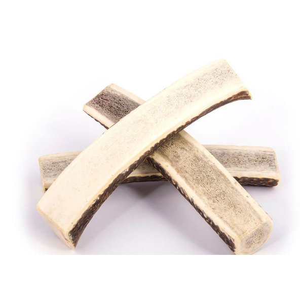 EXPLORER DOG Žuvací jelení paroh XL mäkký