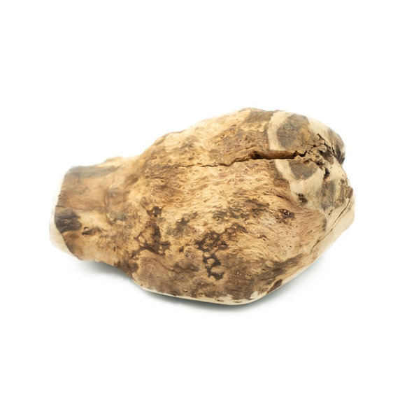 EXPLORER DOG Žuvací koreň z vresu pre psov XL