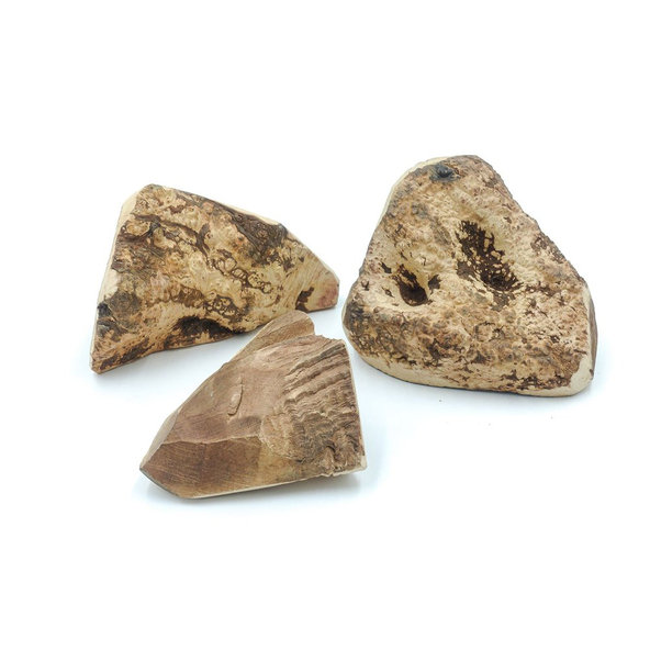 EXPLORER DOG Žuvací koreň z vresu pre psov XL