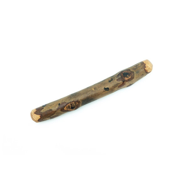 EXPLORER DOG Žuvacia tyčinka z olivového dreva M