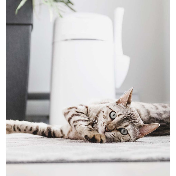 LITTER LOCKER Kôš odpadkový na znečitenú podstielku Design