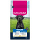 Krmivo EUKANUBA Mature Large rich in fresh chicken 15 kg