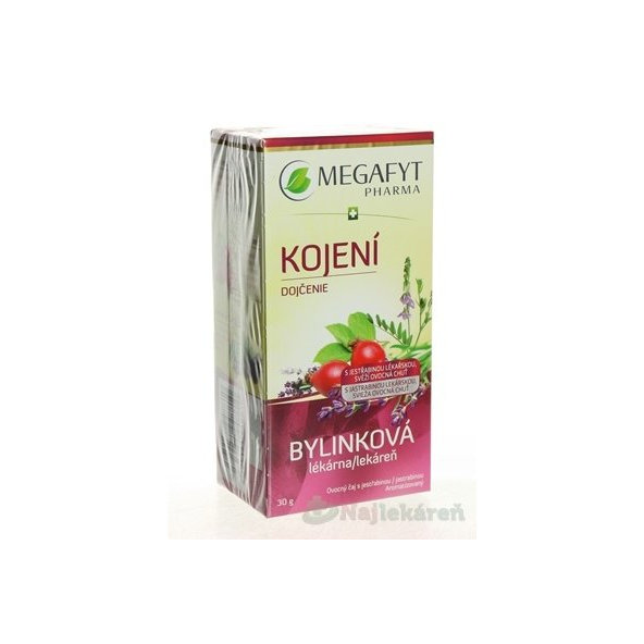 MEGAFYT Bylinková lekáreň DOJČENIE, 20x1,5 g