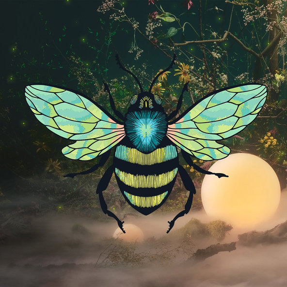 KINDERKRAFT Kočík športový Indy 2 Nature Vibes, Premium