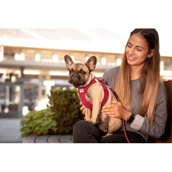 CURLI Postroj pre psov so sponou Air-Mesh Fuchsia XS, 3-5 kg