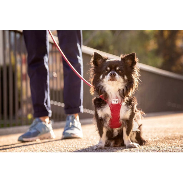 CURLI Postroj pre psov so sponou Air-Mesh Ruby 3XS, 1,5- 3 kg