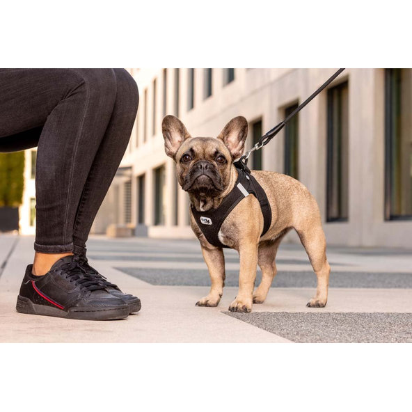 CURLI Postroj pre psov so sponou Air-Mesh Skyblue XS, 3-5 kg