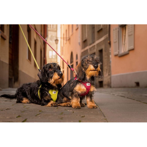 CURLI Postroj pre psov so sponou Air-Mesh Fuchsia S, 4-7 kg