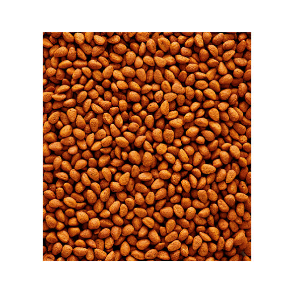 Versele Laga NutriBird G18 Original - pre stredne veľkých papagájov 10kg