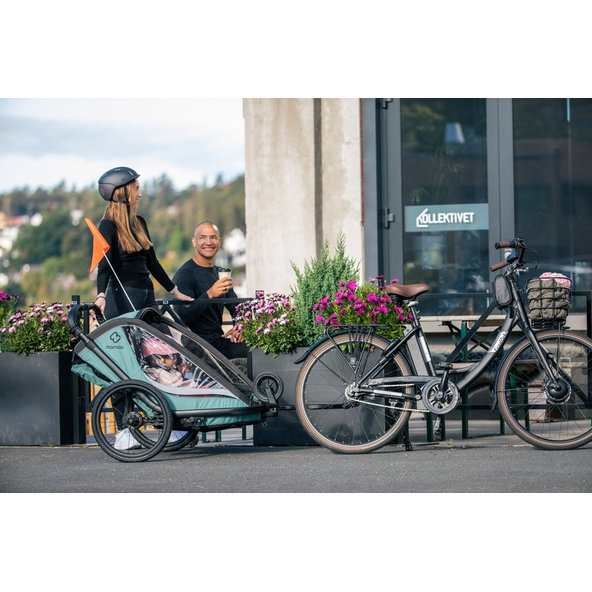 HAMAX Vozík za bicykel vr. ramená + kočíkovú set Cocoon One Green/black