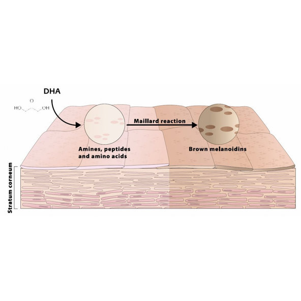 EVY Self Tan Mousse Light/Medium samoopaľovacia pena 150ml