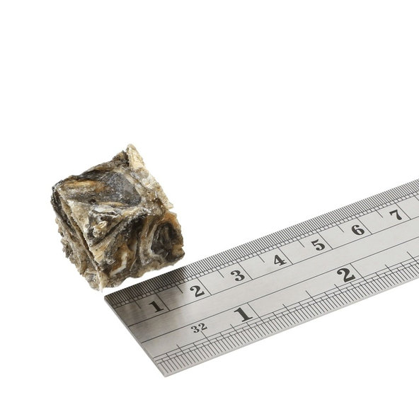 FISH4DOGS Dentálne maškrty pre psov morská ryba - rybičky 115g