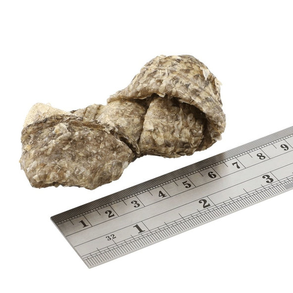 FISH4DOGS Dentálne maškrty pre psov morská ryba - uzlíky 500g