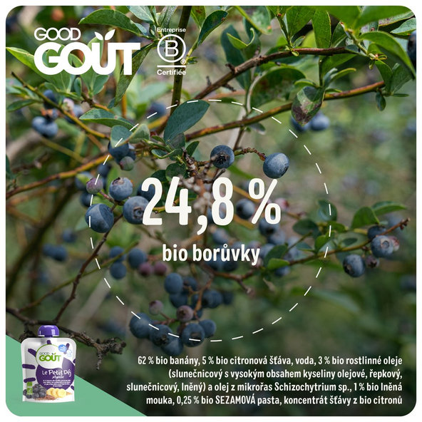 GOOD GOUT BIO Borůvková snídaně 3x70 g