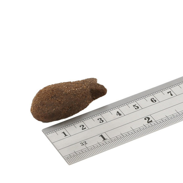 FISH4DOGS Maškrty pre psov na podporu zdravia kĺbov s lososovými kúskami 225g