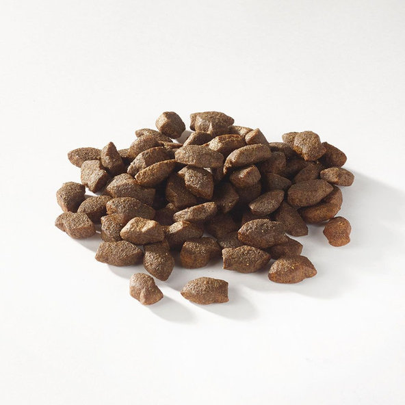 FISH4DOGS Maškrty pre šteniatka na podporu zdravia kĺbov s kúskami lososa 150g