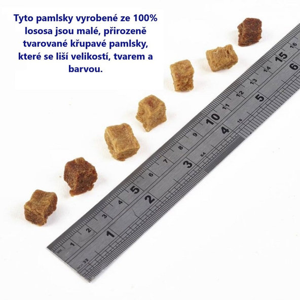 FISH4DOGS Tréningové maškrty pre psov losos 80g