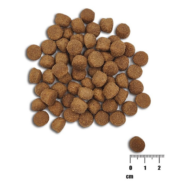 VetExpert Raw Paleo puppy Healthy Grain Salmon&Barley granule pre šteniatka 2kg