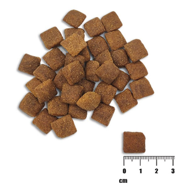 VetExpert Raw Paleo adult Healthy Grain Salmon & Barley granule pre psy 10kg