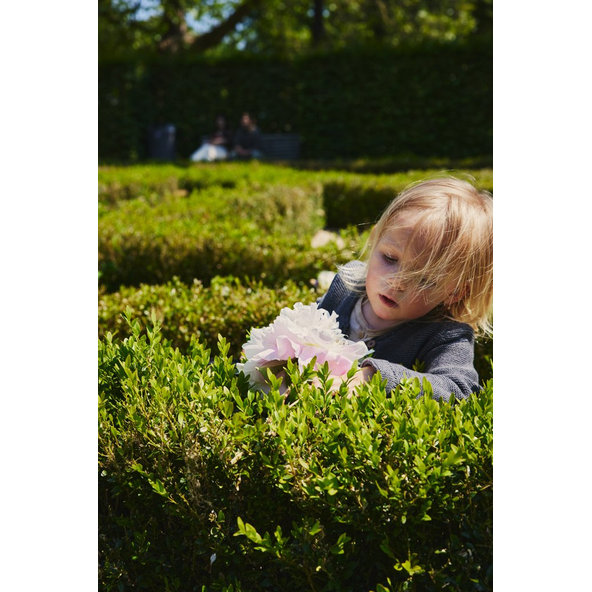 EASYWALKER Set XXL kočík kombinovaný Harvey⁵ Air Pebble Grey s príslušenstvom