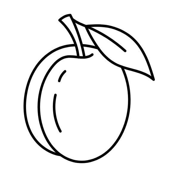 Slivkové jadro olej 100% BIO Alteya 50 ml