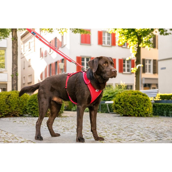 CURLI Postroj pre psov Belka Red M, 20-30 kg