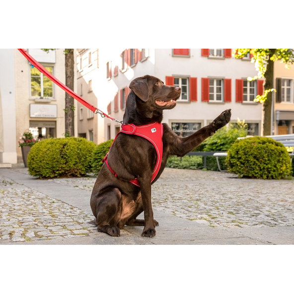 CURLI Postroj pre psov Belka Red M, 20-30 kg