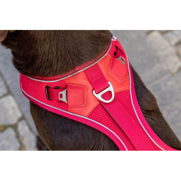 CURLI Postroj pre psov Belka Red M, 20-30 kg