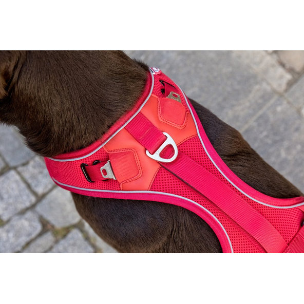 CURLI Postroj pre psov Belka Red XL 30-45 kg