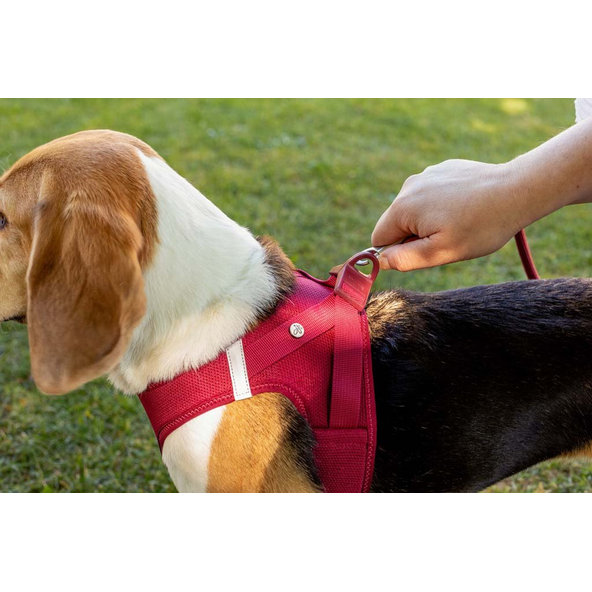 CURLI Postroj pre psov so sponou Air-Mesh Fuchsia, L, 8-13 kg