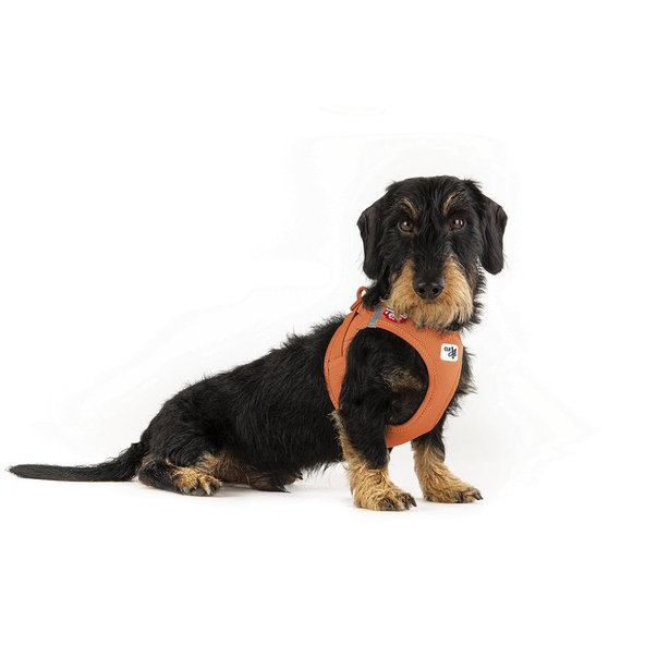 CURLI Postroj pre psov so sponou Air-Mesh Sun Orange, 2XS, 2-4 kg
