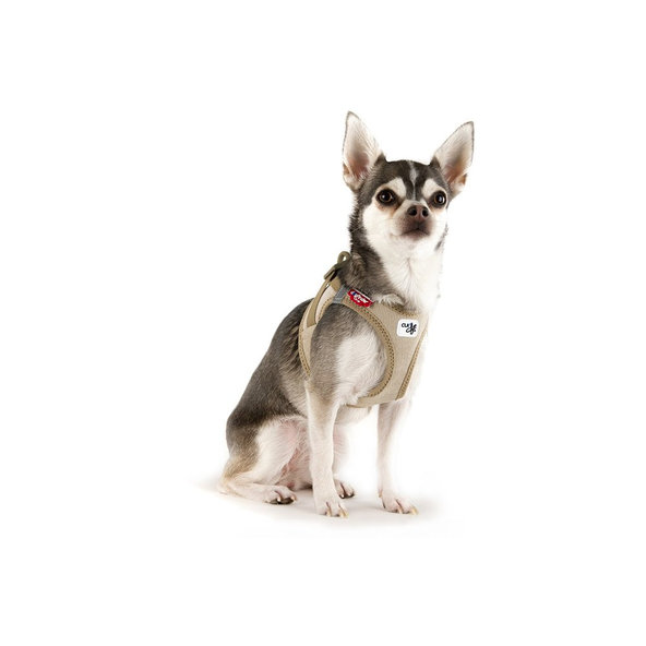 CURLI Postroj pre psov so sponou Manšester Brown 3XS, 1,5-3 kg