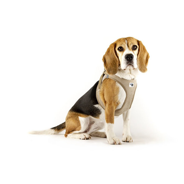 CURLI Postroj pre psov so sponou Manšester Brown L, 8-13 kg