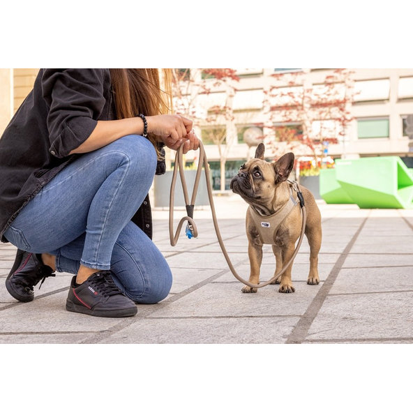 CURLI Postroj pre psov so sponou Manšester Brown L, 8-13 kg