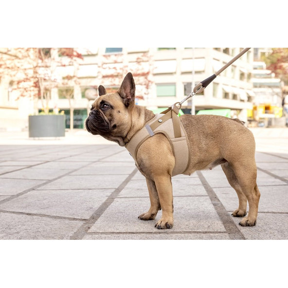 CURLI Postroj pre psov so sponou Manšester Brown L, 8-13 kg